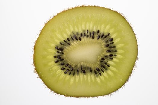 Slice of Kiwi fruit cut in backlight foto shot