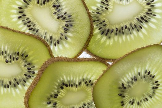 Several slices of a cut kiwi fruit in backlight foto shot