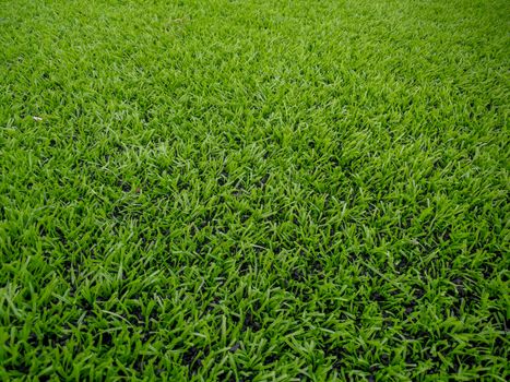 Football field, astro turf surface. Close up of throw in, kick off and corner area. Lushed green football pitch.