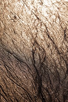 abstract mud background with water washout trails and selective focus.