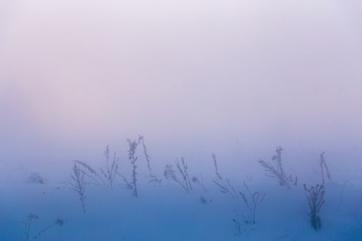 dreamy outdoor early morning winter fog background