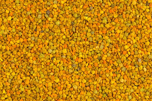 seamless flat texture and closeup background of yellow bee pollen granules