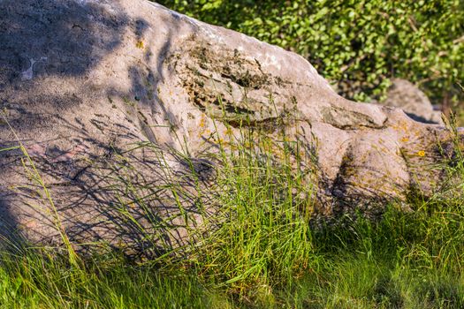 large stone with tall grass selective focus summer evening background