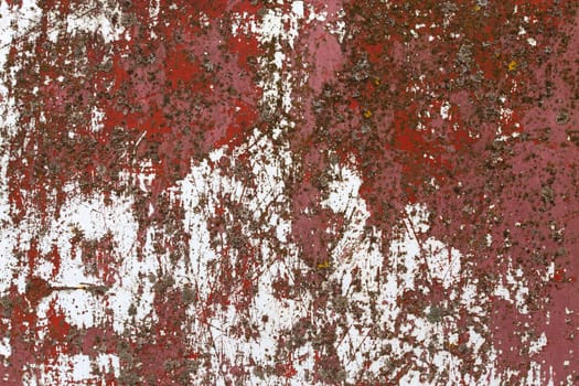 iron sheet with old red over white paint and lichen.