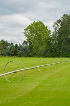 English lawn growing on a farm. Green lawn with irrigation system over the field on cloudy summer day