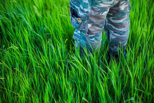 legs in woodland camouflage denim trousers in tall grass with selective focus