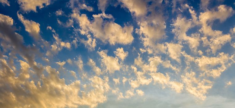 Early morning golden clouds on blue sky wide background without sun, ground or horizon.