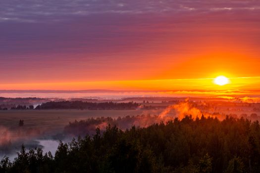 foggy flatland riverside at summer sunrise with trees in foreground