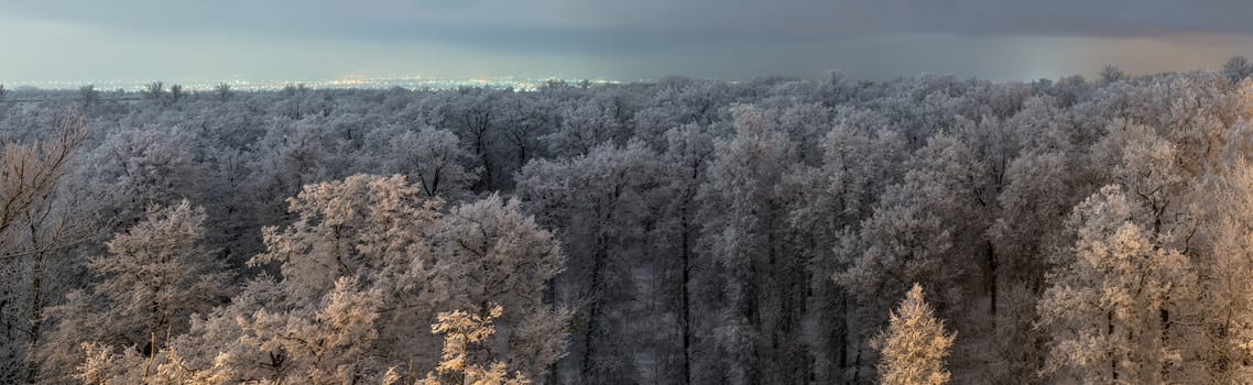 Top of frozen winter forest landscape at cloudy weather with soft light and distant city lights.