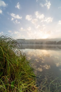 foggy lakeside at summer sunrise with tall grass in foreground