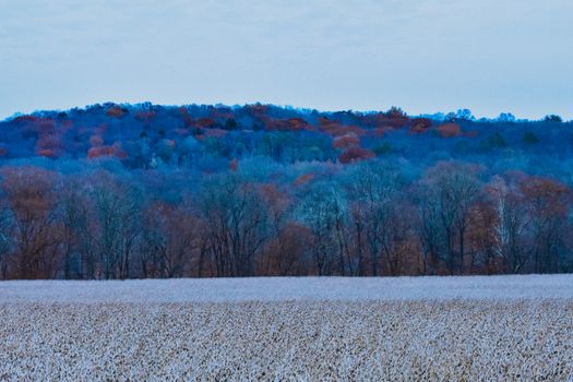 A Dead Yellow Crop Field In Winter With A Mountain Of Trees of Different Colors Behind It