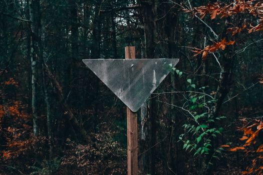 An Old Blank Metal Sign in a Dead Autumn Forest