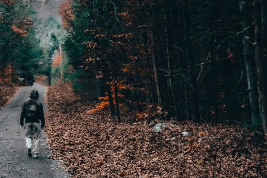 A Lonely Man Walking Down a Stone Path in an Autumn Forest