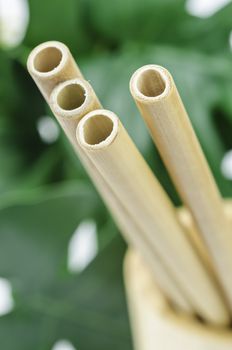 Close up bamboo straws with green leaf. The Green product eco friendly concept.