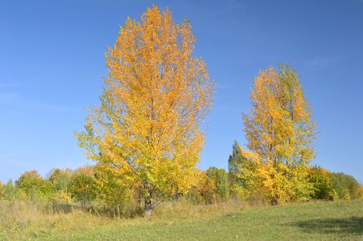  beautiful autumn landcsape