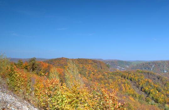 Autumn landscape, tree over mountains