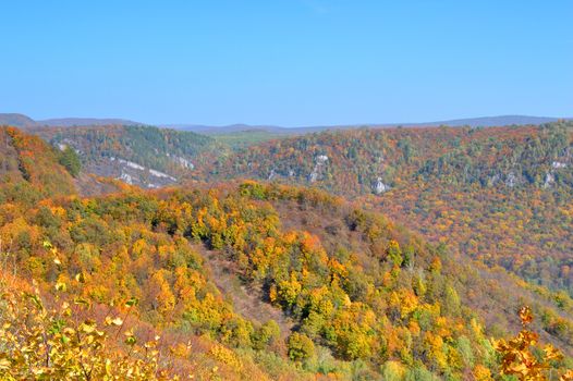 Autumn landscape, tree over mountains