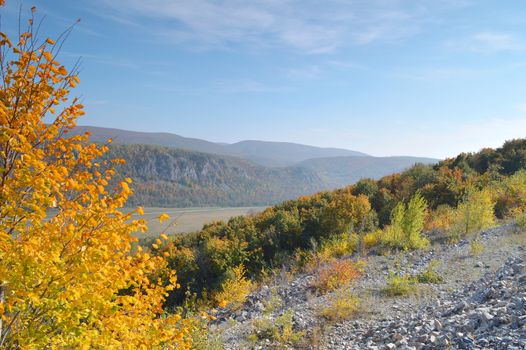 Autumn landscape, tree over mountains