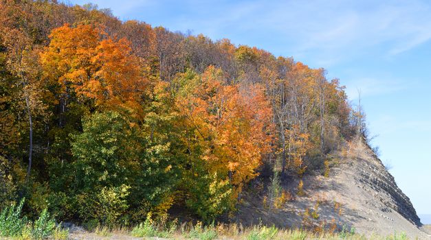 Autumn landscape, tree over mountains