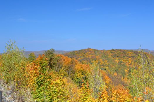 Autumn landscape, tree over mountains