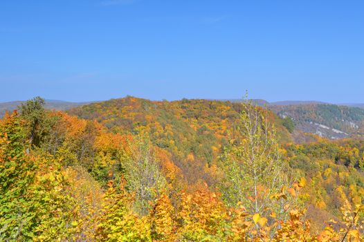 Autumn landscape, tree over mountains