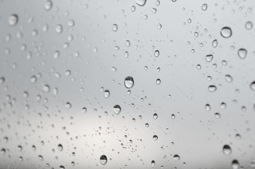 Drops of rain on the window, shallow dof