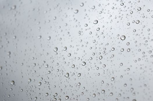 Drops of rain on the window, shallow dof