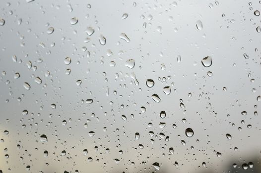 Drops of rain on the window, shallow dof