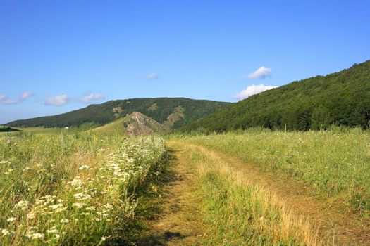 Beautiful summer landscape with  mountains field trees