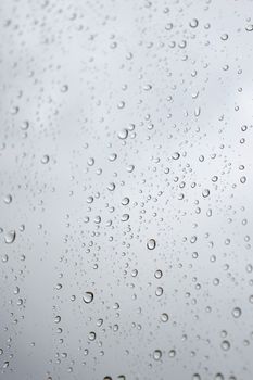 Drops of rain on the window, shallow dof