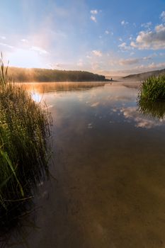 foggy lakeside at summer sunrise with tall grass in foreground with selective focus