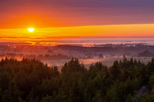 foggy flatland riverside at summer sunrise with trees in foreground