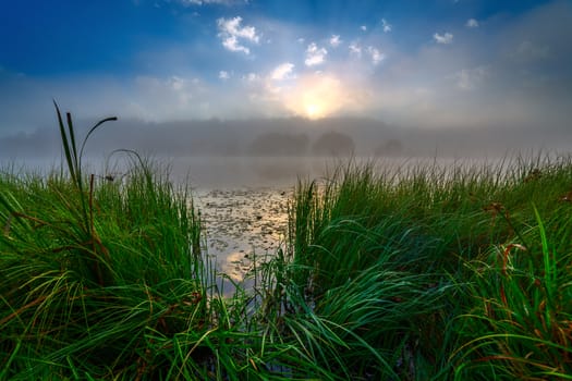 foggy flatland riverside at summer sunrise with tall grass in foreground