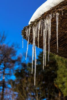 Icicles on straw roof corner of rustic house