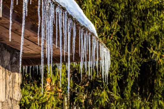 Icicles on straw roof corner of rustic house with selective focus in sunny spring daylight