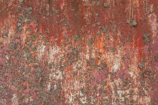 iron sheet with old red over white paint and lichen.