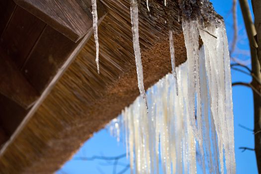 Icicles on straw roof corner of rustic house with selective focus in sunny spring daylight. Closeup shot with selective focus.