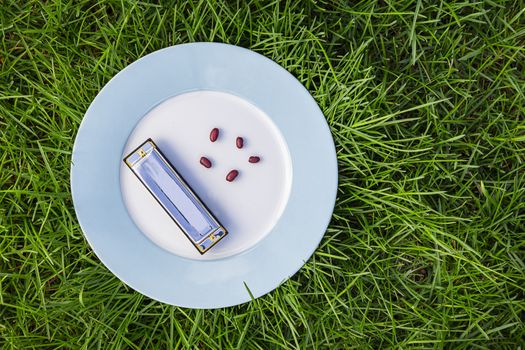 Harmonica on a blue rimmed plate, with five dried red bean, laying on top of green grass