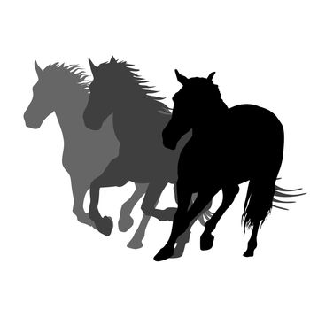 Silhouettes of three horses running