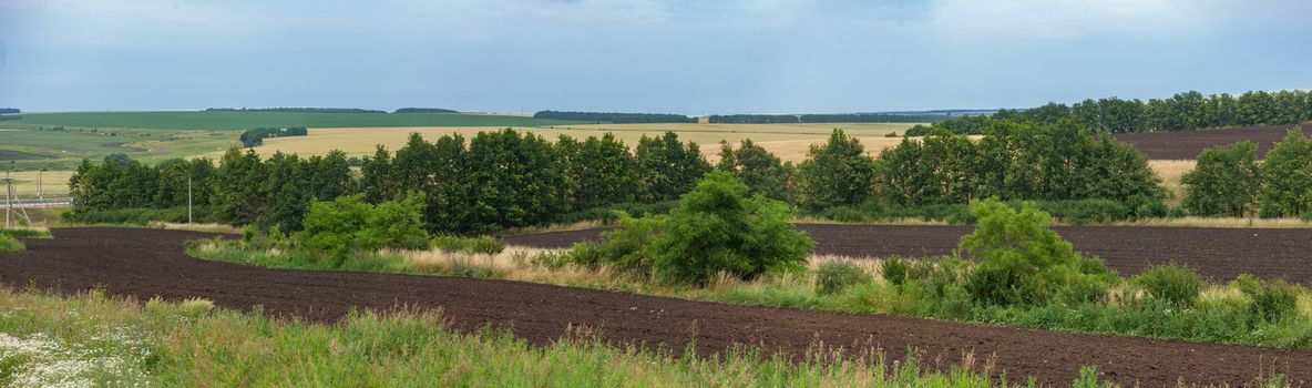 Summer landscape with arable, forest belts and fields