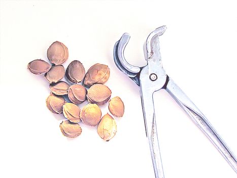 nektorina pits and tongs for cracking nuts concept in pits edible seeds on a white background 