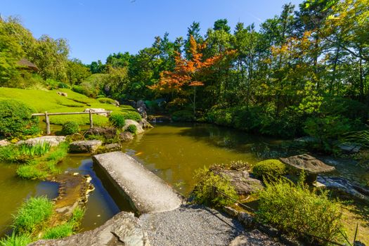 View of the Yoko-en (pond garden) of the Taizo-in Temple, in Kyoto, Japan