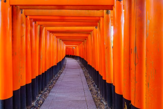View of a path of Torii gates, up the Inari mountain, in Kyoto, Japan