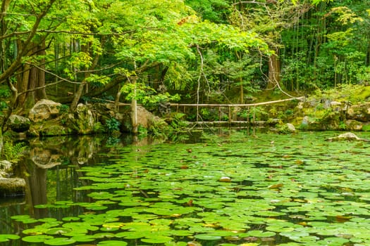 View of Japanese Garden of the Tenju-an Temple, in Kyoto, Japan