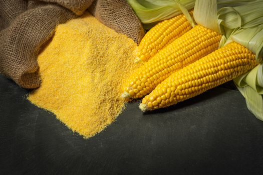 Ripe young sweet corn cob,on left stack cornmeal on dark background, copy space.Gluten free food concept