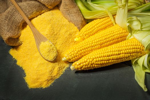 Ripe young sweet corn cob,on left stack cornmeal and spoon on top,dark background, copy space.Gluten free food concept