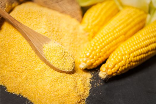 Ripe young sweet corn cob,on left stack cornmeal and spoon on top,dark background, copy space.Gluten free food concept