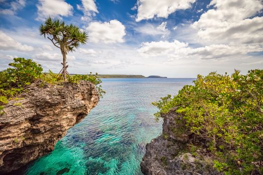 Scenic landscape with a single tree on top of a curved cliff with beautiful turquoise waters, blue sky and clouds on the Island of Mare, New Caledonia