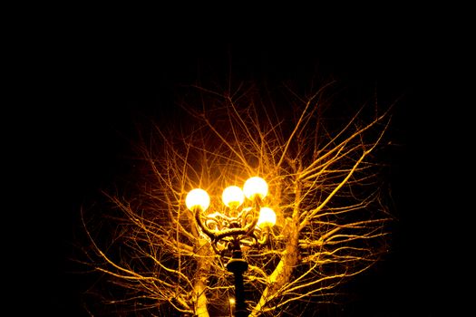 Antique yellow lantern at Night With a Tree in the Background