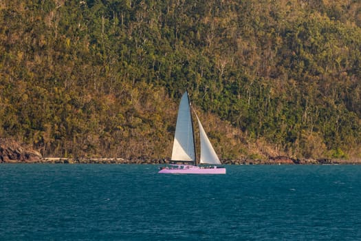 Purple yacht sailing next to a tropical island